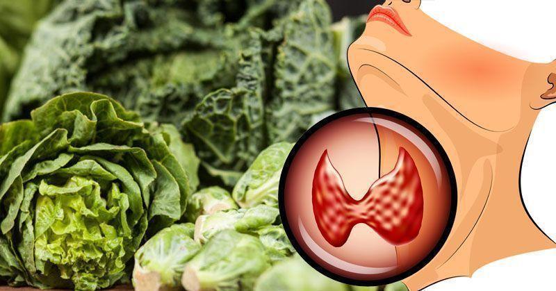 مراقبت های غذایی در هیپوتیروئیدیسمبخور نخورهای غذایی در کم کاری تیروئید