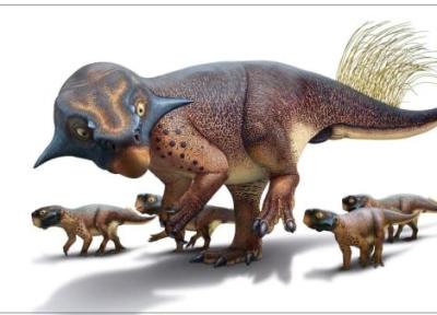 جنس پوست دایناسورها و جانوران ماقبل تاریخ چگونه بود؟